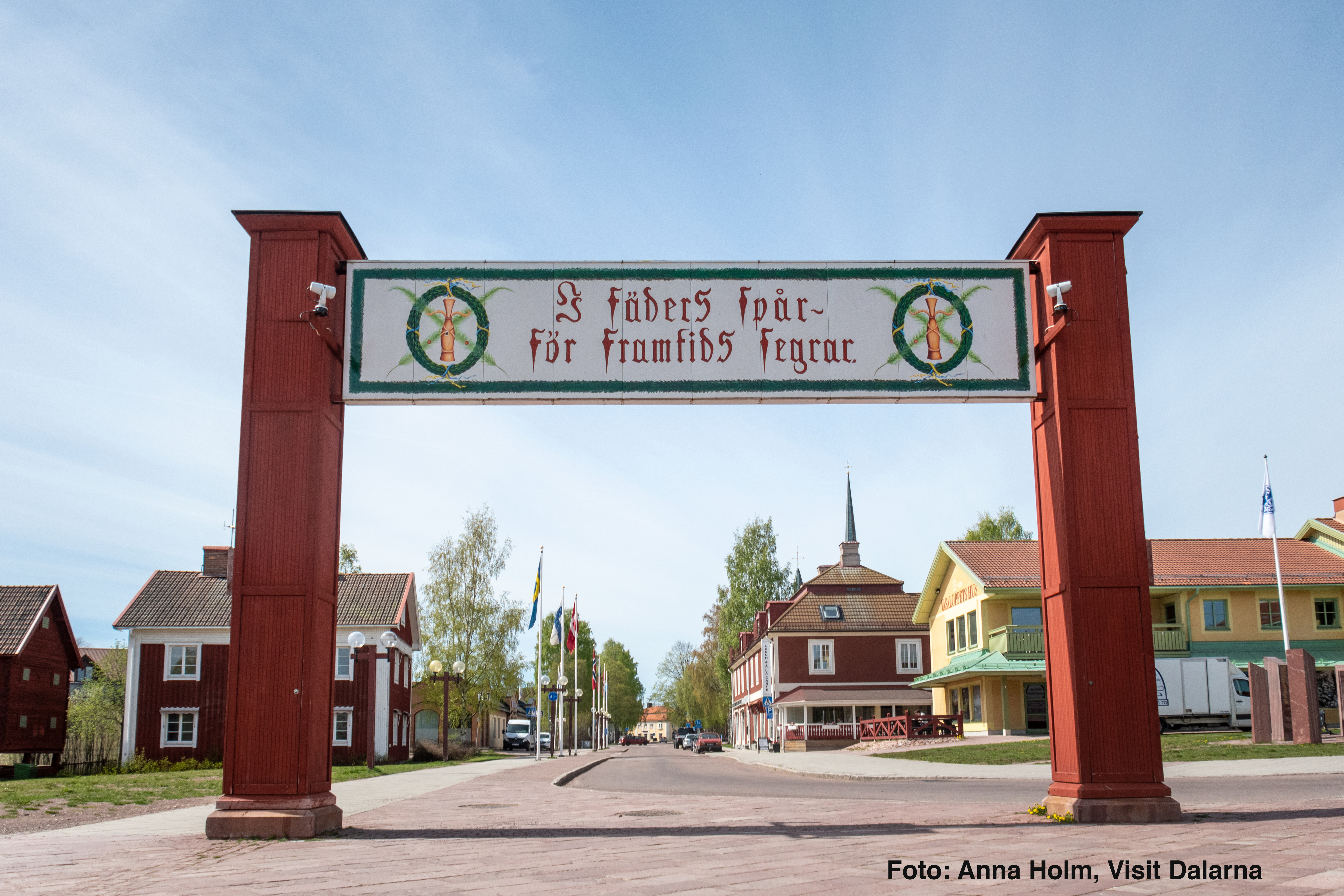 Fiskodling bakom träd