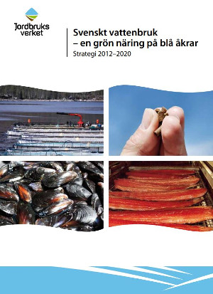 Skärmklipp av strategin