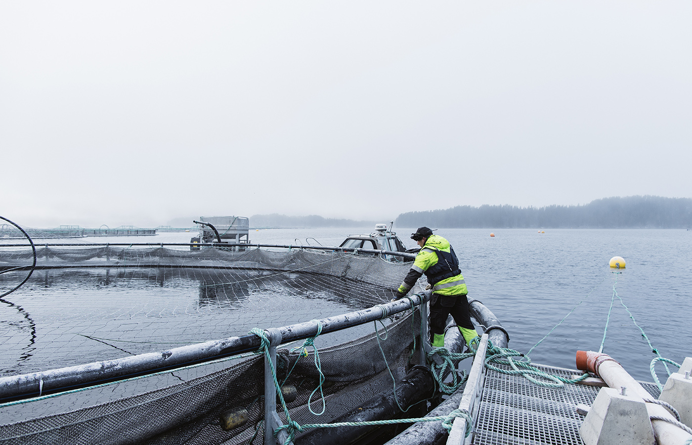 En man jobbar vid en öppen kasse under en dimmig vinterdag.