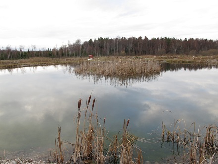 Inte en krusning på ytan, men under vattnet finns flodkräftor för utsättning och konsumtion.