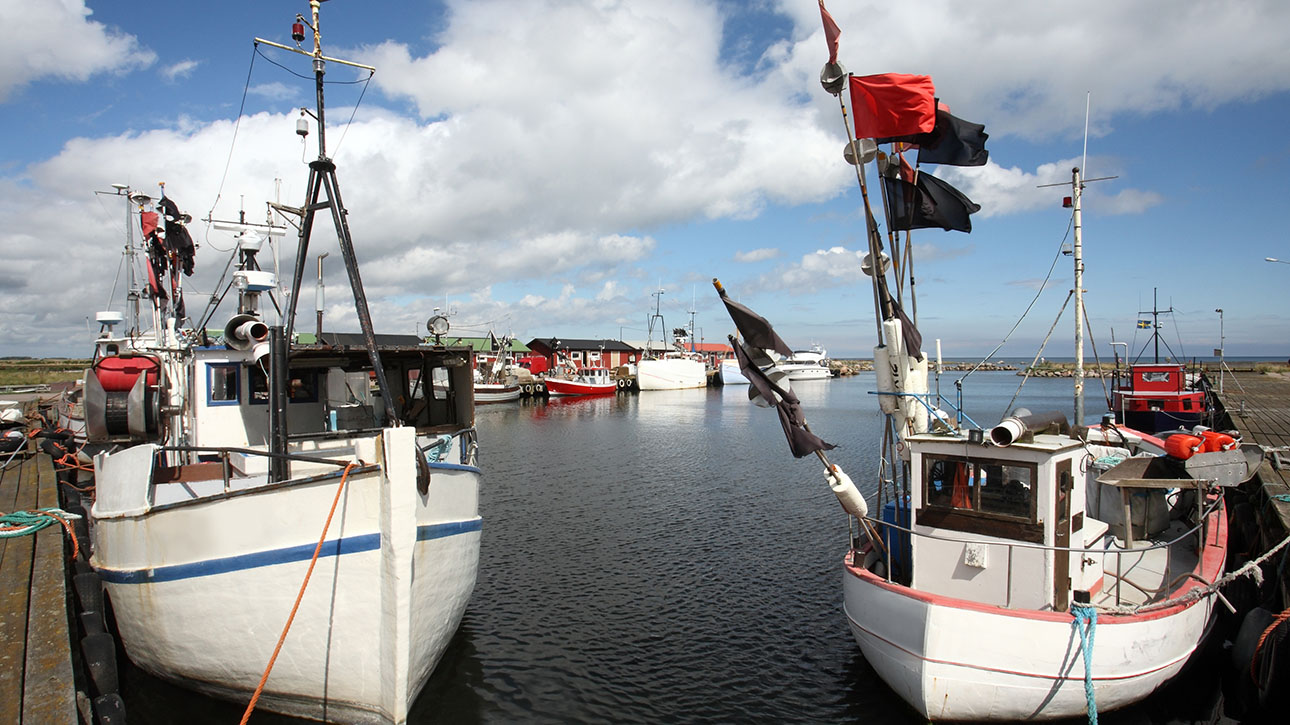 Fiskebåtar i hamn