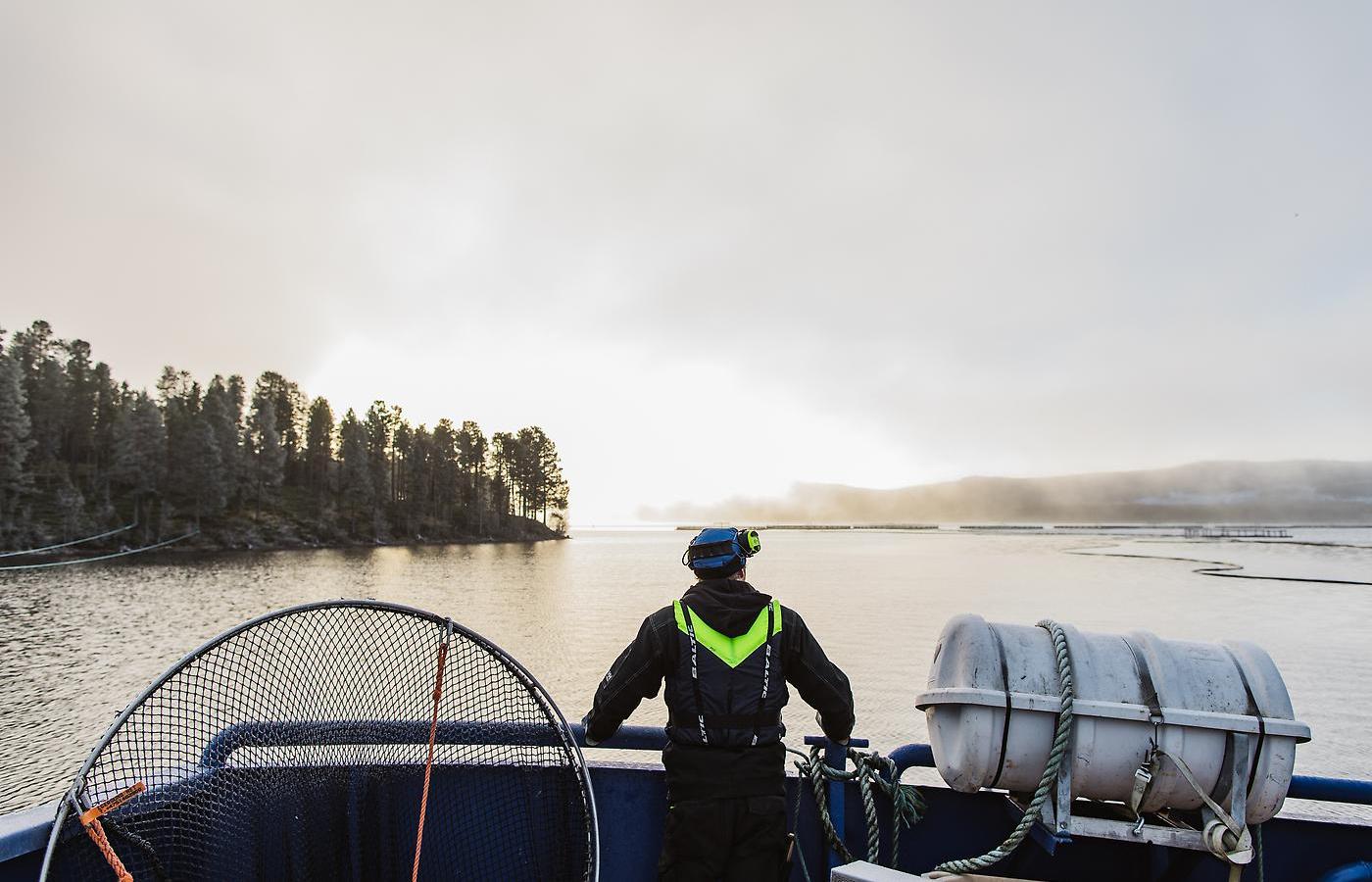 Fiskodlare ser ut över fiskodling från sin båt