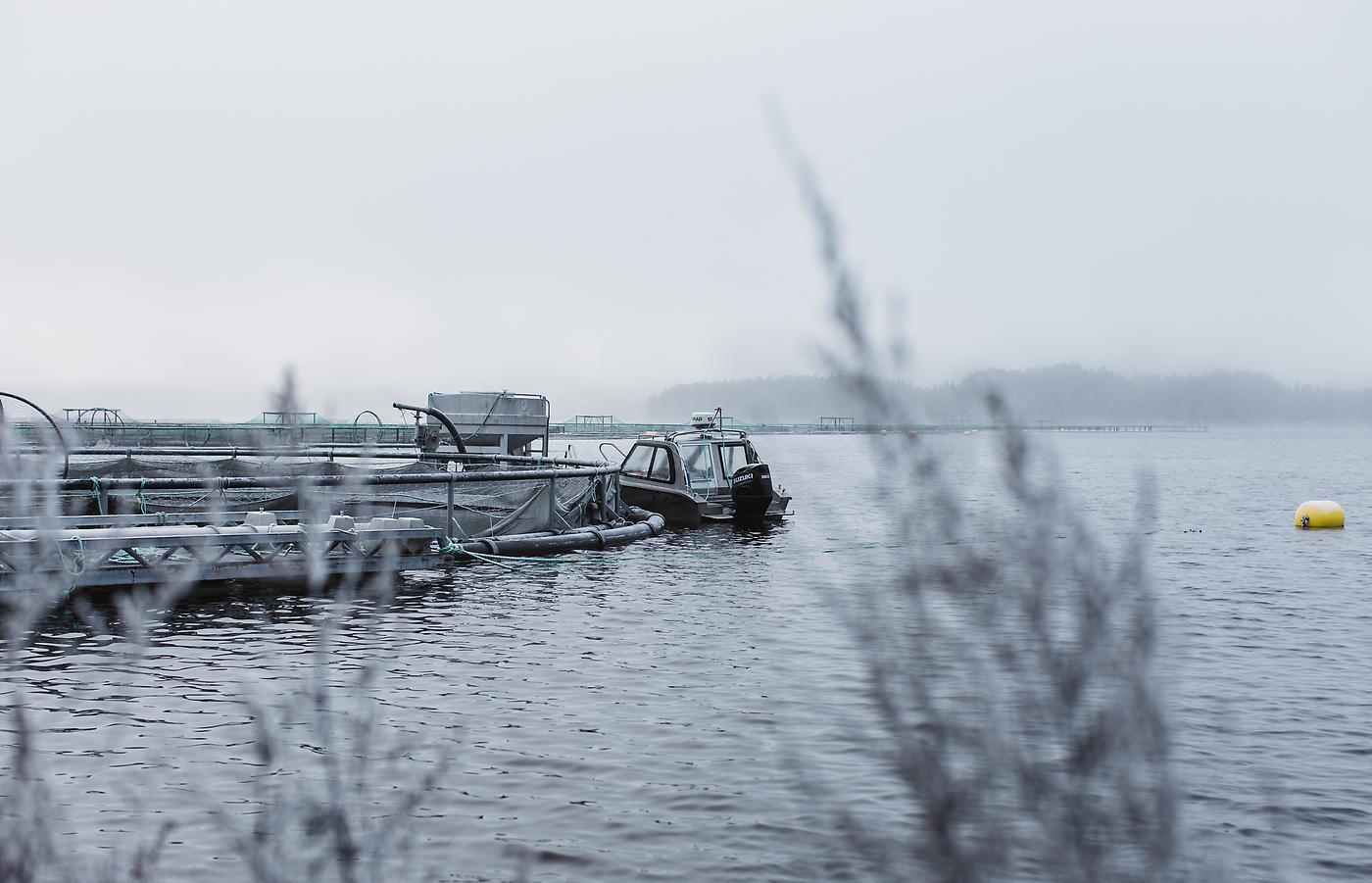 Fiskebåt som ligger förankrad i hamn under vintern.