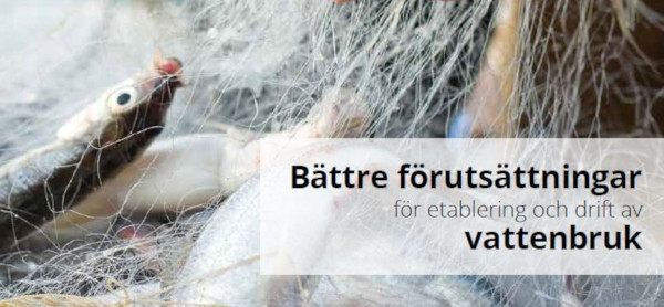 Försättsblad etablering och drift folder Sustainable foods